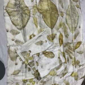 Natural Eco-Print Maheshwari Handloom Mulberry Silk Top & Dupatta
