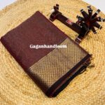 Tissue Saree with Diamond Zari Border